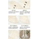 With Puji Letters and Poems-White Mist Covenant​ Short OP Long OP and Sets(Pre-Order/Full Payment Without Shipping)